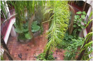 Courtyard Subtropical